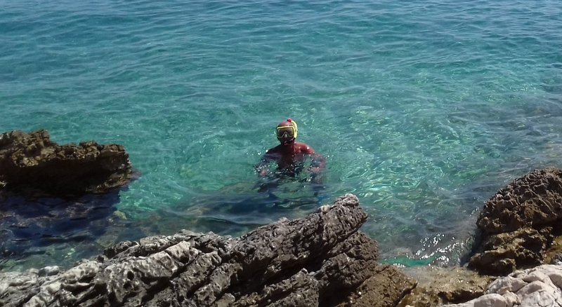 20170826_131659 01.jpg